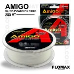 AMIGO_21