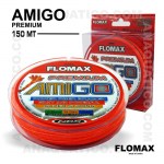 AMIGO_22