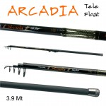 ARCADIA_1
