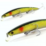 BIG_CATCH_5