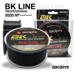 BK_LINE_1