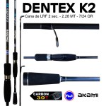 DENTEX_53