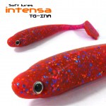 INTENSA_TG-INA_2