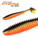 INTENSA_TG-IND_7