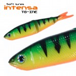 INTENSA_TG-INE_3
