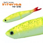 INTENSA_TG-INE_4