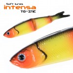 INTENSA_TG-INE_5