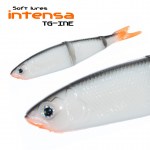 INTENSA_TG-INE_6