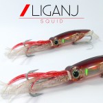 LIGANJ1