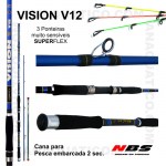 VISION_V12