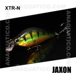 XTR-N_4