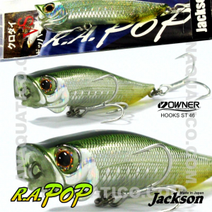 JACKSON R. A. POP 7CM / 7GR SSS