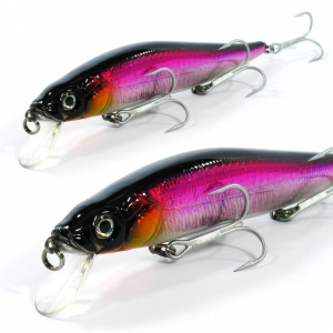 DANSEL TRACKER 13CM / 24GR FLOA. ANA30