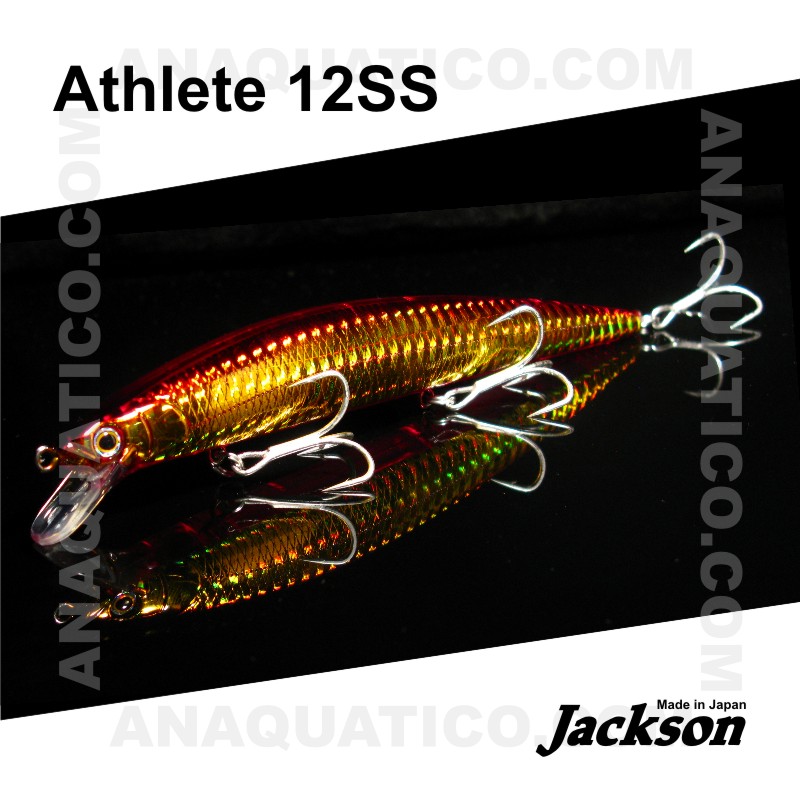 Jackson Athlete 17 SSV - Leurre Sinking Haute Performance pour Distance Maximale