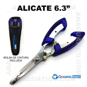 ALICATE_OCEANIC_TEAM_2