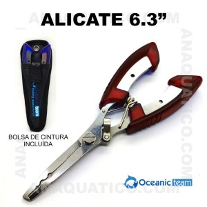 ALICATE_OCEANIC_TEAM_3