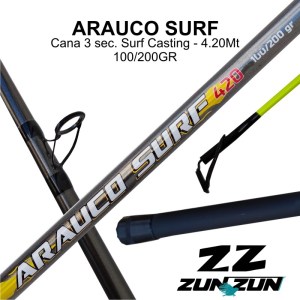 ARAUCO1
