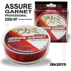 ASSURE_GARNET