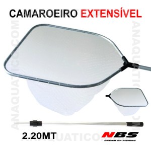 CAMAROEIRO_nbs1