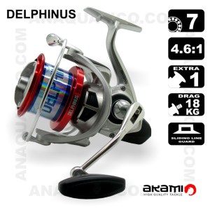 CARRETO_AKAMI_DELPHINUS_5