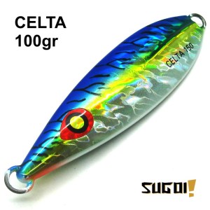 CELTA_5
