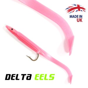 DELTA_EEL_22