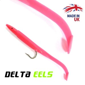 DELTA_EEL_23