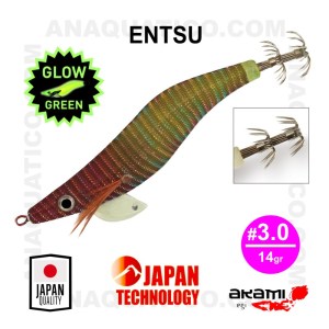ENTSU_55