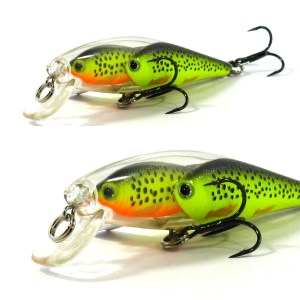 FISH_SWARM_WOBBLER_1