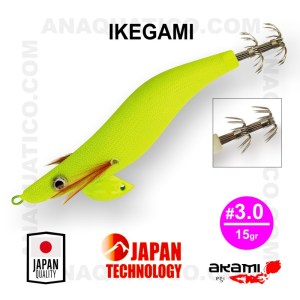 IKEGAMI_1817