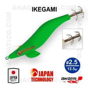 IKEGAMI_71
