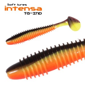 INTENSA_TG-IND_7