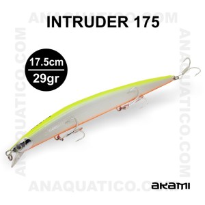INTRUDER_26