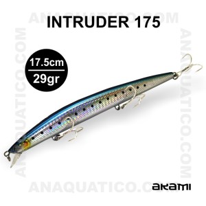 INTRUDER_43