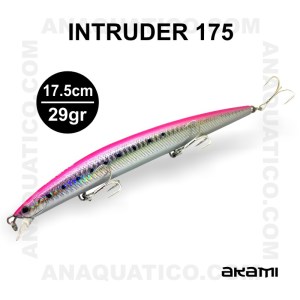 INTRUDER_61