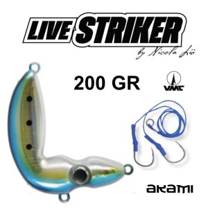 LIVE_STRIKER_AKAMI_10