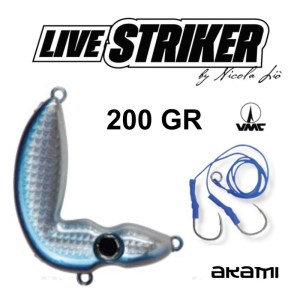 LIVE_STRIKER_AKAMI_14