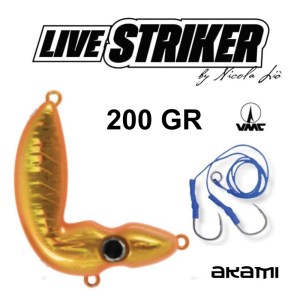 LIVE_STRIKER_AKAMI_18