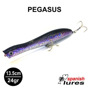 PEGASUS_AURORA