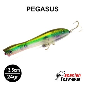 PEGASUS_SPAISH_AYU