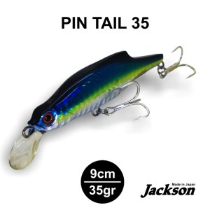 PINTAIL_3