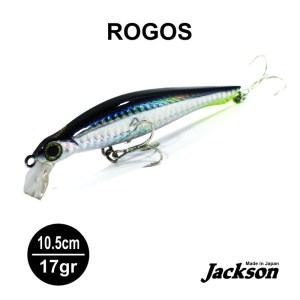 ROGOS_28