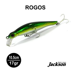 ROGOS_6