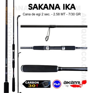 SAKANA_IKA_1