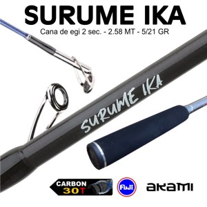 SURUME_IKA