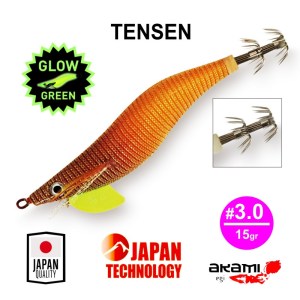 TENSEN_1