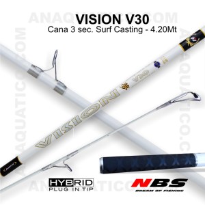 VISION_V30_1