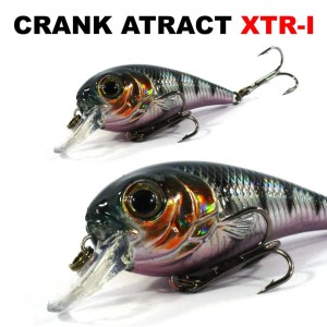 XTR-I