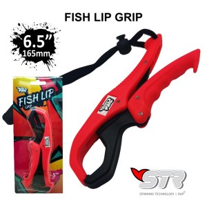 fish_lip7