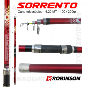 CANA ROBINSON SORRENTO 4.20MT - 100/200GR